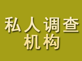 岳西私人调查机构